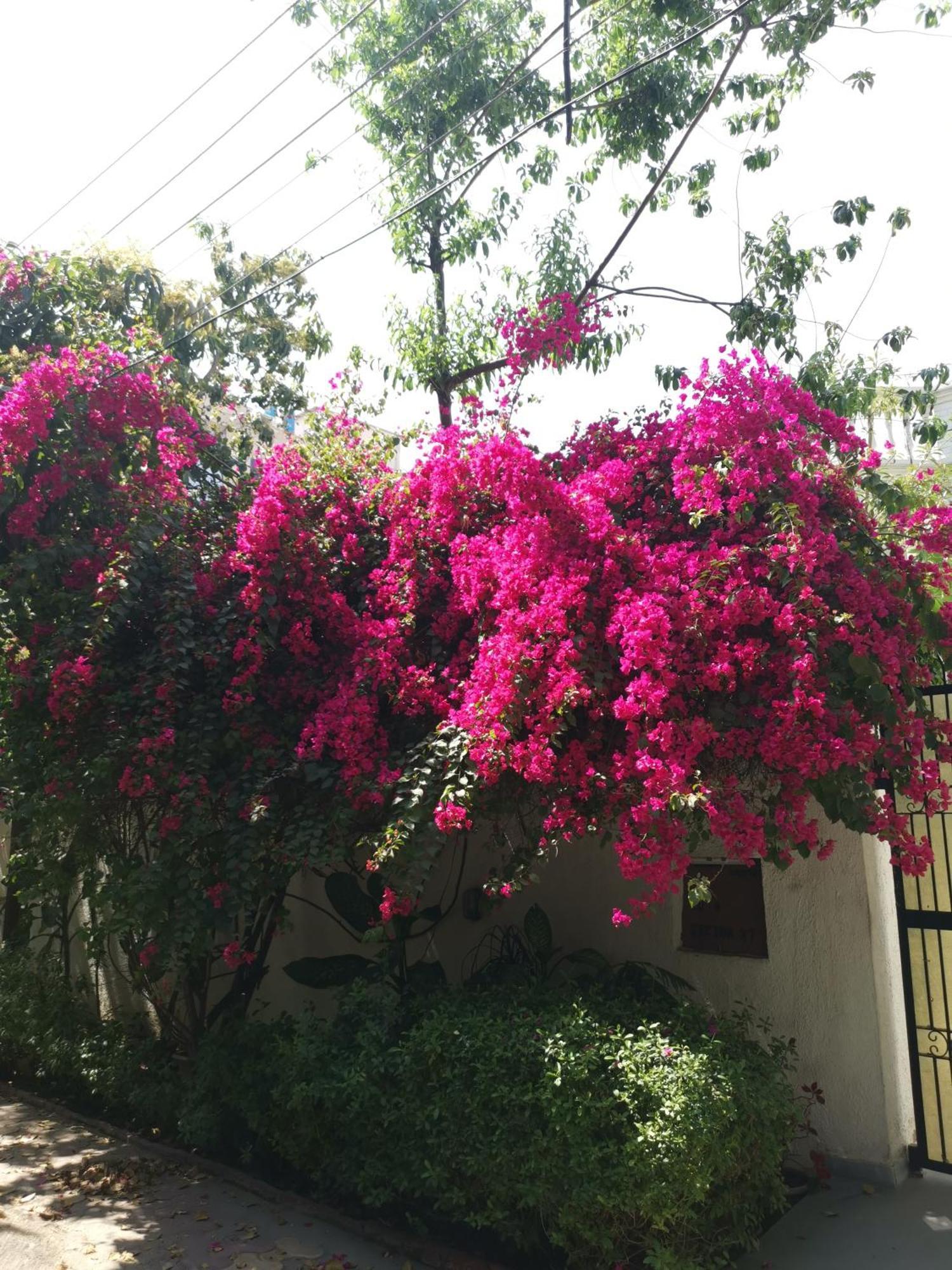 Hotel Pk Residency Noida Luaran gambar
